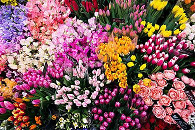 九月新游一览：《破晓传说》《NBA2K22》等