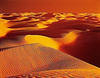 管理游戏《职业篮球经理2024》Steam页面上线 11月发售